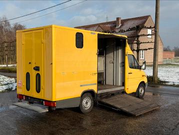 Mercedes Sprinter 308CDI Automaat Paardencamionette Horses beschikbaar voor biedingen