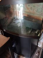 Aquarium, Dieren en Toebehoren, Ophalen