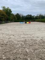 Box te huur, Dieren en Toebehoren, Weidegang, 1 paard of pony