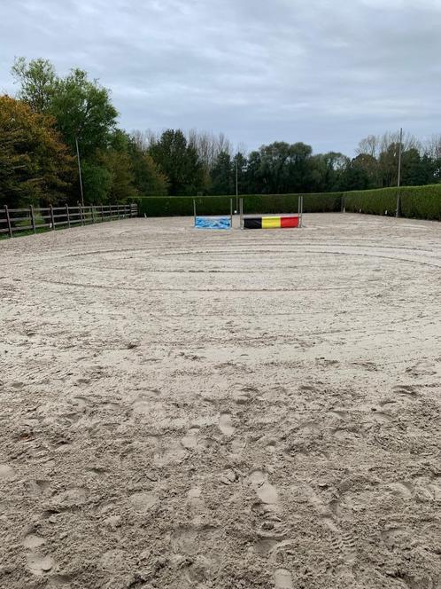 Box te huur, Dieren en Toebehoren, Stalling en Weidegang, Stalling, Weidegang, Accessoires, 1 paard of pony
