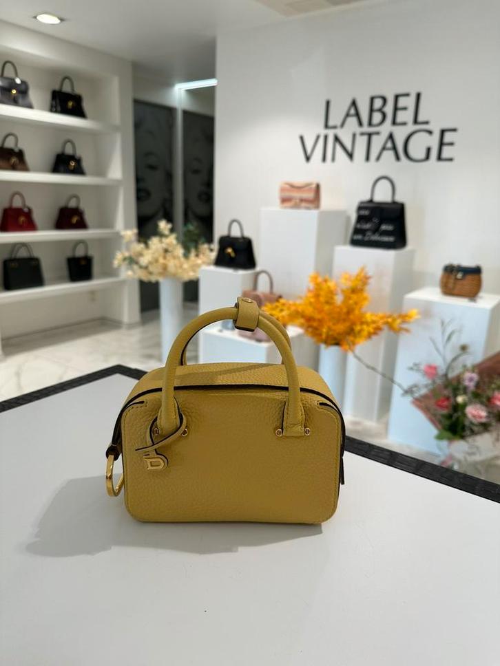 Delvaux Nano Coolbox, Handtassen en Accessoires, Tassen | Reistassen en Weekendtassen, Zo goed als nieuw, Ophalen