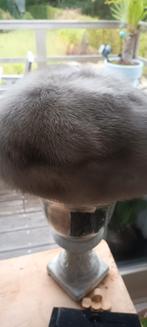 Chapeaux en fourrure véritable, Vêtements | Femmes, Chapeaux & Casquettes, Enlèvement, Comme neuf