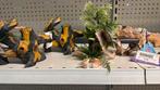4 stuks decoratie aquarium, Dieren en Toebehoren, Ophalen