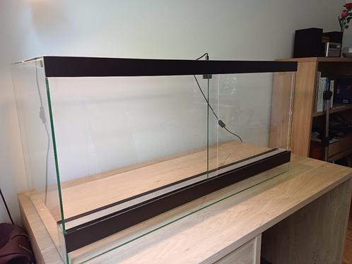 Terrarium Groot, Dieren en Toebehoren, Reptielen en Amfibieën | Toebehoren, Gebruikt, Terrarium of Paludarium, Ophalen