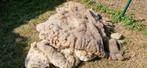 Gratis wol van schapen, Livres, Loisirs & Temps libre, Enlèvement, Neuf, Autres sujets/thèmes