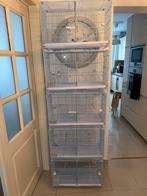 Cage d’élevage oiseaux, Animaux & Accessoires, Enlèvement, Comme neuf