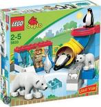 Lego duplo pooldieren 5633, Kinderen en Baby's, Speelgoed | Duplo en Lego, Ophalen, Gebruikt, Duplo