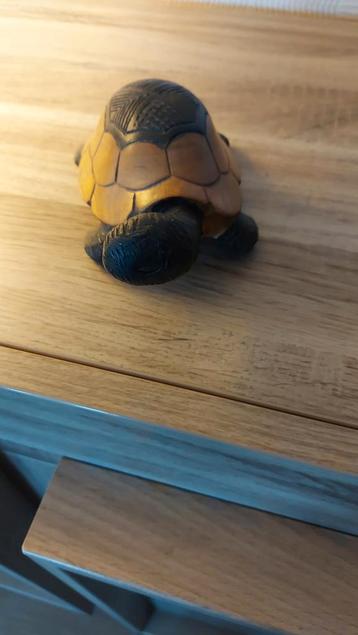 Schildpad in hout handwerk, Enlèvement