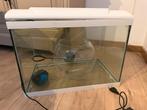 Twee aquariums te koop - in goede staat, Dieren en Toebehoren, Ophalen, Zo goed als nieuw