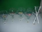 Bierglazen Bush Beer, 5 verschillende, Verzamelen, Ophalen of Verzenden, Zo goed als nieuw, Glas of Glazen, Overige merken