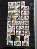 Lot van 40 gebruikte postzegels van België Oiseaux Buzin, Frankeerzegel, Ophalen of Verzenden, Gestempeld, Gestempeld