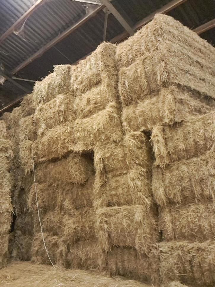 Foin, paille, Animaux & Accessoires, Nourriture pour Animaux, Enlèvement ou Envoi