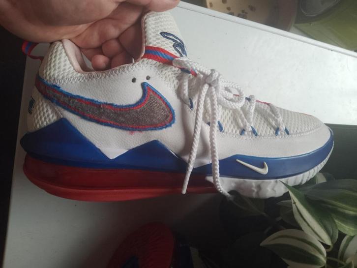 maat 44 refurbished nike LeBron 17 low tune squad, Sport en Fitness, Basketbal, Gebruikt, Schoenen, Ophalen of Verzenden
