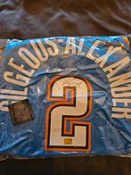 Gehandtekend nba shirt van mvp champion ALEXANDER, Sport en Fitness, Basketbal, Ophalen of Verzenden, Nieuw