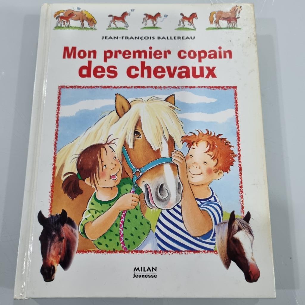 3 livres de jeunesse relatifs aux chevaux, Livres, Enlèvement ou Envoi, Utilisé