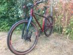 Salsa el mariachi, 53 tot 57 cm, Ophalen, Zo goed als nieuw, Overige merken