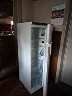 Grote staande ijskast, Elektronische apparatuur, Koelkasten en IJskasten, Ophalen, Gebruikt, Zonder vriesvak