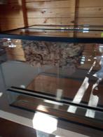 Terrarium, Animaux & Accessoires, Reptiles & Amphibiens | Accessoires, Enlèvement, Comme neuf, Terrarium ou Paludarium