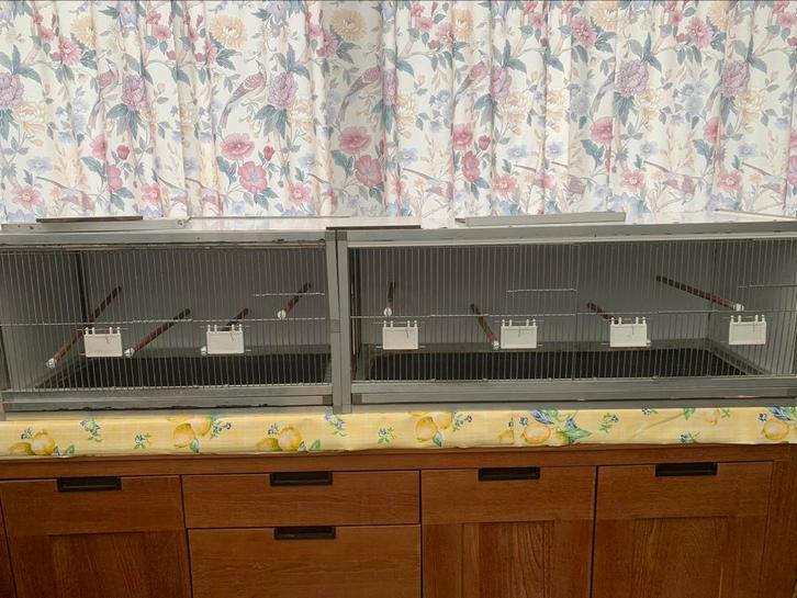 Kanarie kweekkooi 2/doorvliegkooi aan elkaar aluminium tresp, Dieren en Toebehoren, Vogels | Hokken en Kooien, Gebruikt, Broedkooi of Kweekkooi