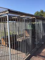 Geïsoleerd hondenhok, Dieren en Toebehoren, Ophalen, 110 cm of meer, 65 tot 100 cm, Hondenhok