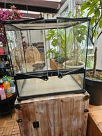 Grand terrarium/vivarium, Ophalen, Gebruikt