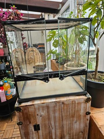 Grand terrarium/vivarium, Enlèvement, Utilisé