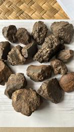 Lot de météorites chondrites NWA