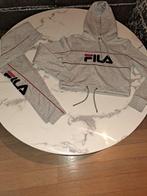 Training fila, Taille 36 (S), Autres types, Porté, Enlèvement ou Envoi