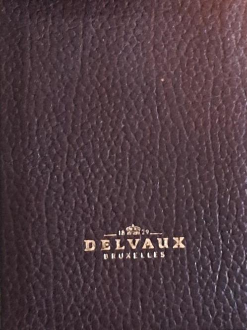 mooie Delvaux handtas, Handtassen en Accessoires, Tassen | Damestassen, Zo goed als nieuw, Handtas, Bruin, Ophalen