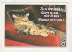 KAT   1, Verzamelen, Postkaarten | Dieren, Gelopen, Verzenden, 1980 tot heden, Hond of Kat
