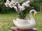 Keramische decoratieve pot met witte zwaan, Ophalen of Verzenden, Zo goed als nieuw