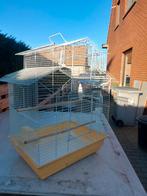 Vogelkooi, Dieren en Toebehoren, Ophalen