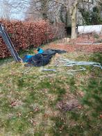 kindertrampoline, Ophalen, Gebruikt