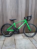 San Remo Race 20", Enlèvement