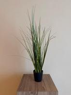 Plante ornementale artificielle à herbes hautes, Enlèvement ou Envoi, Neuf, Moins de 10 m², Herbe