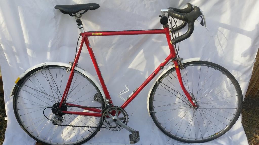 Grote racefietsen, Goodefroot,Bridgestone..., Ophalen