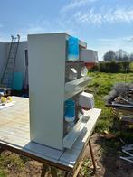 Kweekkooien, Dieren en Toebehoren, Ophalen, Gebruikt