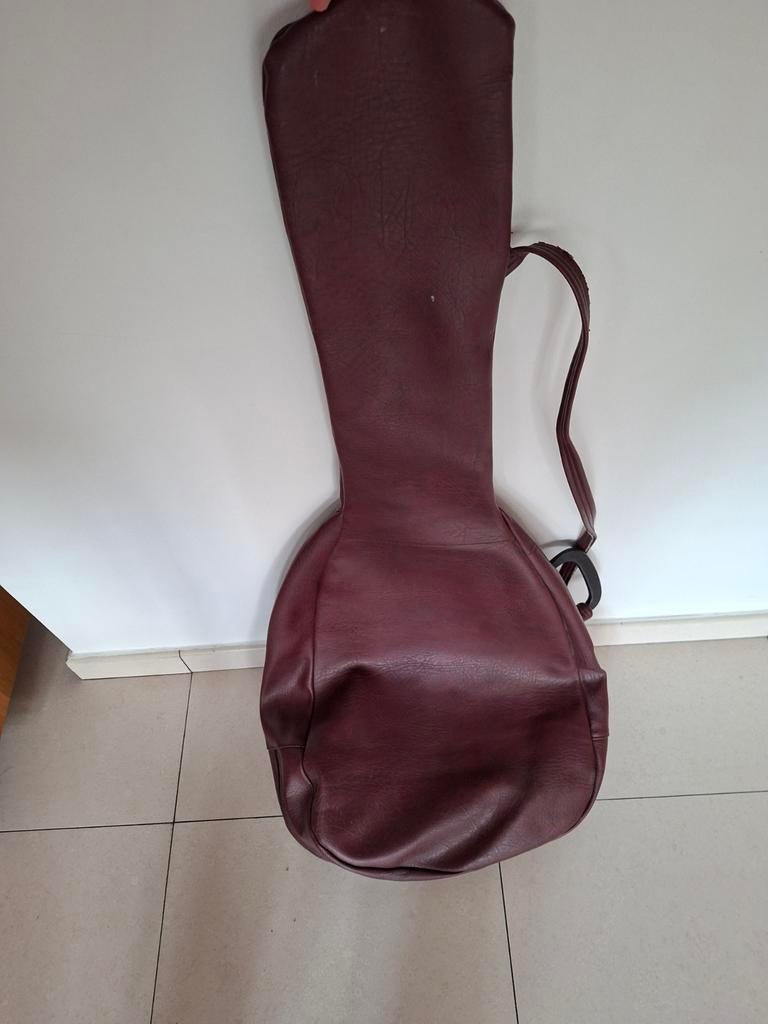 Étui pour guitare, Musique & Instruments, Boîtiers & Valises, Enlèvement