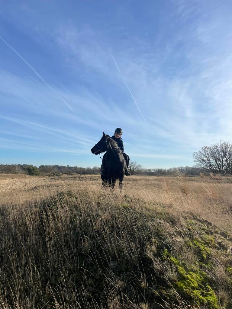 Paardrijlessen - buitenritten - paardrijkamp