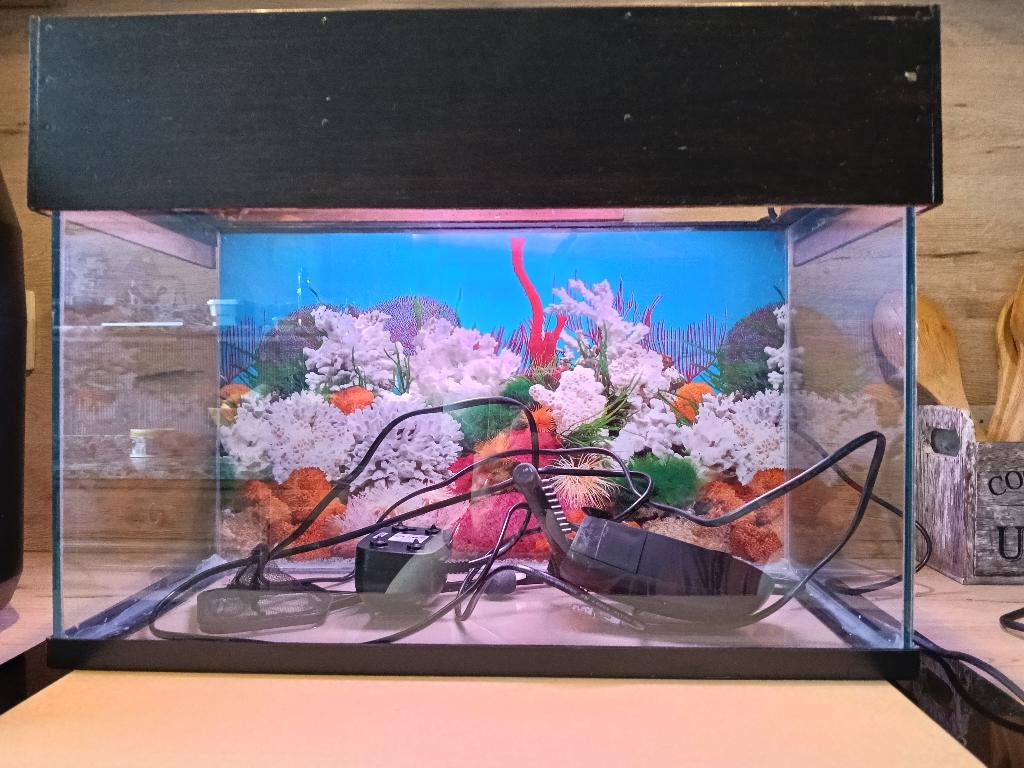 Aquarium, Ophalen, Pomp, Gebruikt, Leeg aquarium