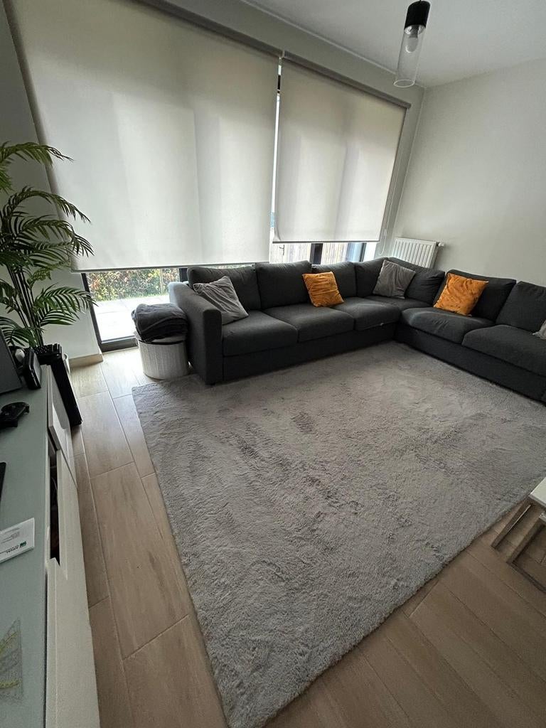 Tapis de salon gris à poils longs(très bon état), Enlèvement