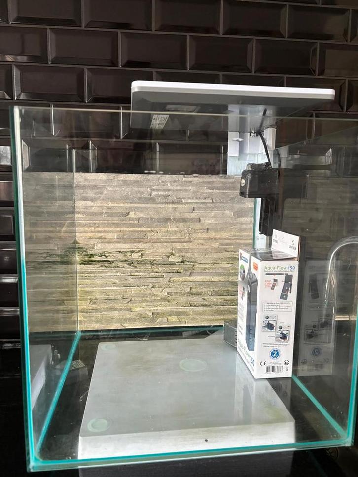 Aquarium Qubiq 60 liter met toebehoren, Animaux & Accessoires, Poissons | Aquariums & Accessoires, Enlèvement