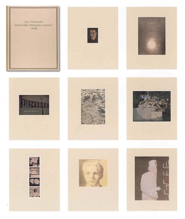 Luc Tuymans 'Wenn der Frühling kommt' map met 17 werken!, Antiquités & Art, Enlèvement