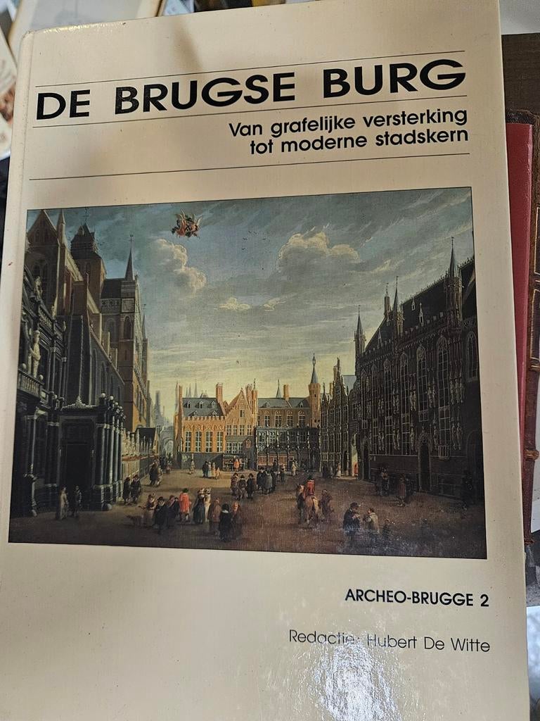 Boek geschiedenis Brugge De Brugse Burg, Verzenden