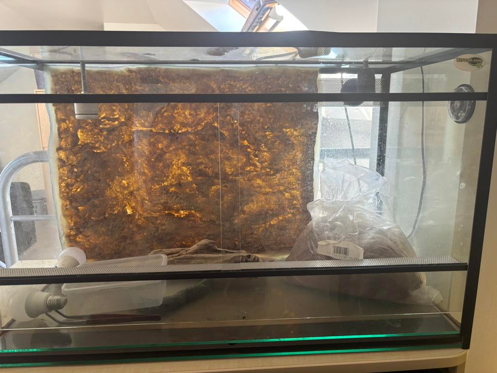 terarium reptielen, …, Ophalen, Gebruikt, Terrarium of Paludarium