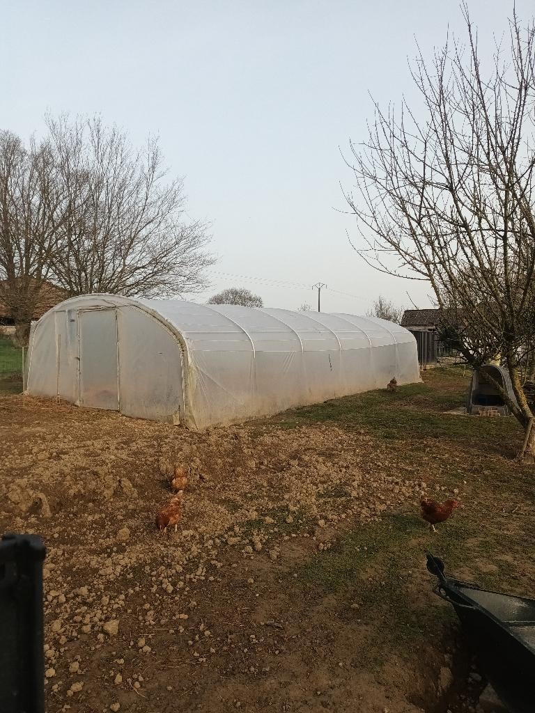 Serre, Tuin en Terras, Ophalen, Zo goed als nieuw, Staal, Kweekkas