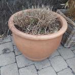 Grote bloempot met siergras, Ophalen