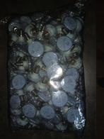 Kermis blauwe led lampen e14 60 volt, Ophalen of Verzenden