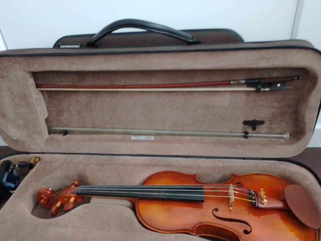 Viool van Franz Sandner, Muziek en Instrumenten, Strijkinstrumenten | Violen en Altviolen, Ophalen, Viool