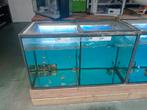 Aquarium a vendre, Enlèvement, Utilisé, Aquarium vide